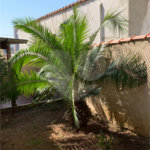 Casa à venda com 3 quartos em Jardim São Paulo(zona Norte), São Paulo, SP