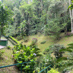 Apartamento à venda com 3 quartos em Alto da Boa Vista, Rio de Janeiro, RJ