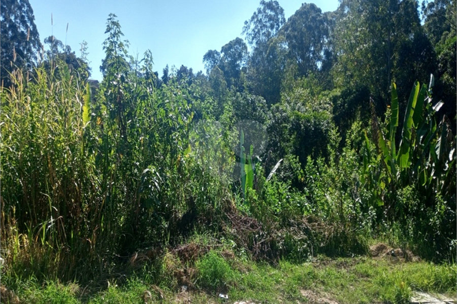 Terreno à venda em Serra da Cantareira, Mairiporã, SP