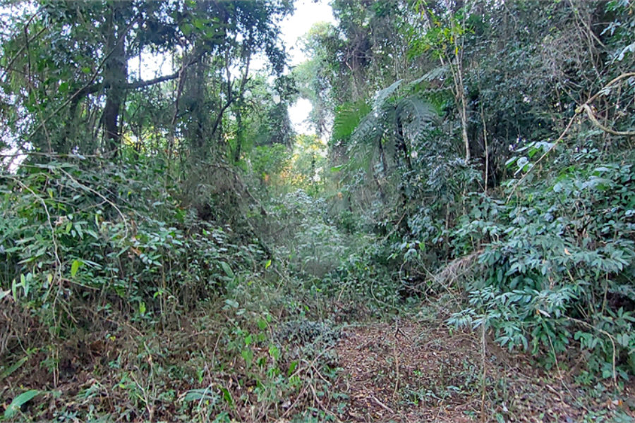 Terreno à venda no condomínio Sausalito, Mairiporã - SP