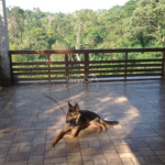 Chácara à venda com 5 quartos, sendo 1 suíte, em Olhos D´água, Mairinque, SP