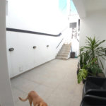 Casa à venda com 5 quartos, sendo 1 suíte,  em Água Fria, São Paulo, SP