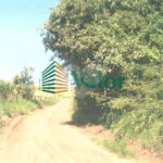 Sítio Estrada São Carlos Ribeirão - próximo São Carlos