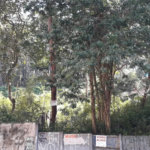Terreno à venda ou para alugar em Vila Andrade, São Paulo, SP