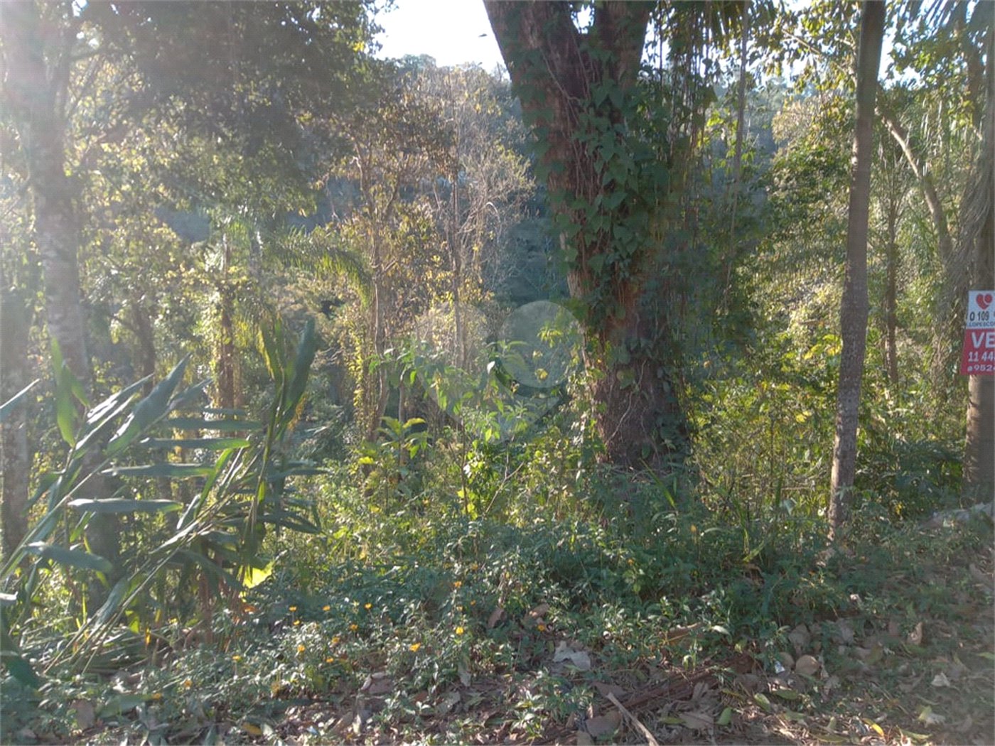 Terreno à venda no condomínio Cinco Lagos, Mairiporã - SP