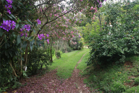 Chácara à venda com 3 quartos, sendo 1 suíte, em Jardim 21 de Março, Louveira, SP