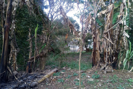 Terreno à venda ou para alugar no condomínio São Marcos, São Paulo - SP