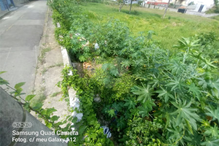 Terreno à venda em Vila Oliveira, Mogi das Cruzes, SP