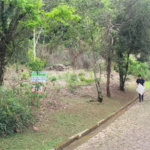 Casa à venda no condomínio Gleba II, Mairiporã - SP