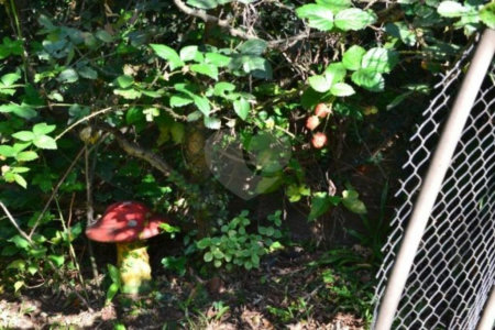 Casa à venda com 3 quartos, sendo 1 suíte, no condomínio Travessa Cacique Apoena,493, São Paulo - SP