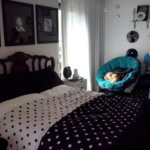 Apartamento à venda com 4 suítes em Vila Morumbi, São Paulo, SP