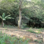 Terreno à venda em Samambaia, Mairiporã, SP