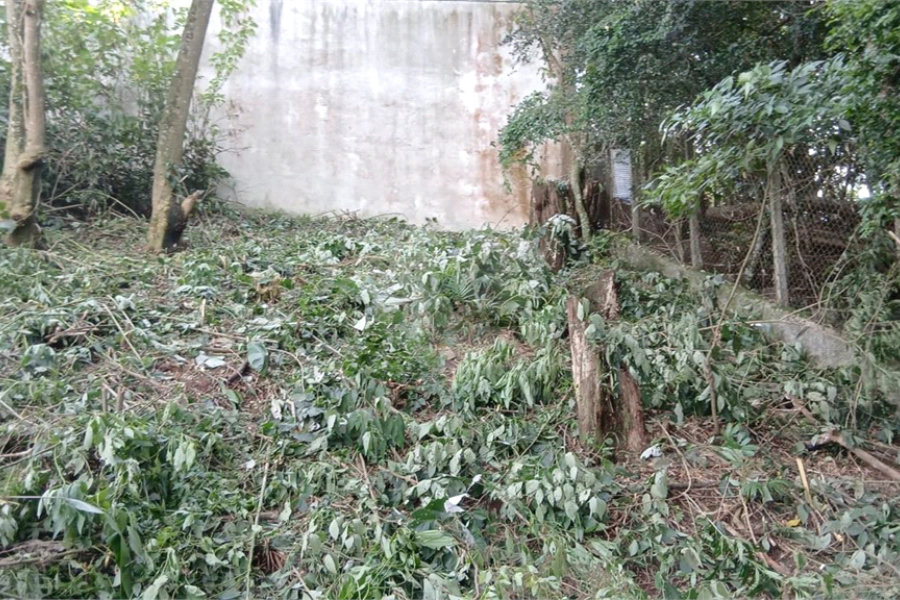 Terreno à venda em Serra da Cantareira, São Paulo, SP