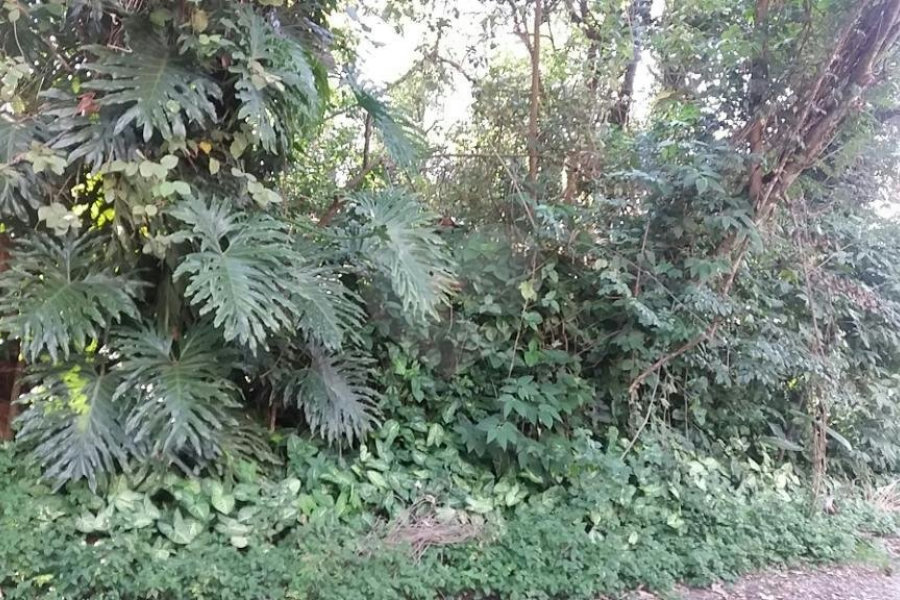 Terreno à venda em Tremembé, São Paulo, SP