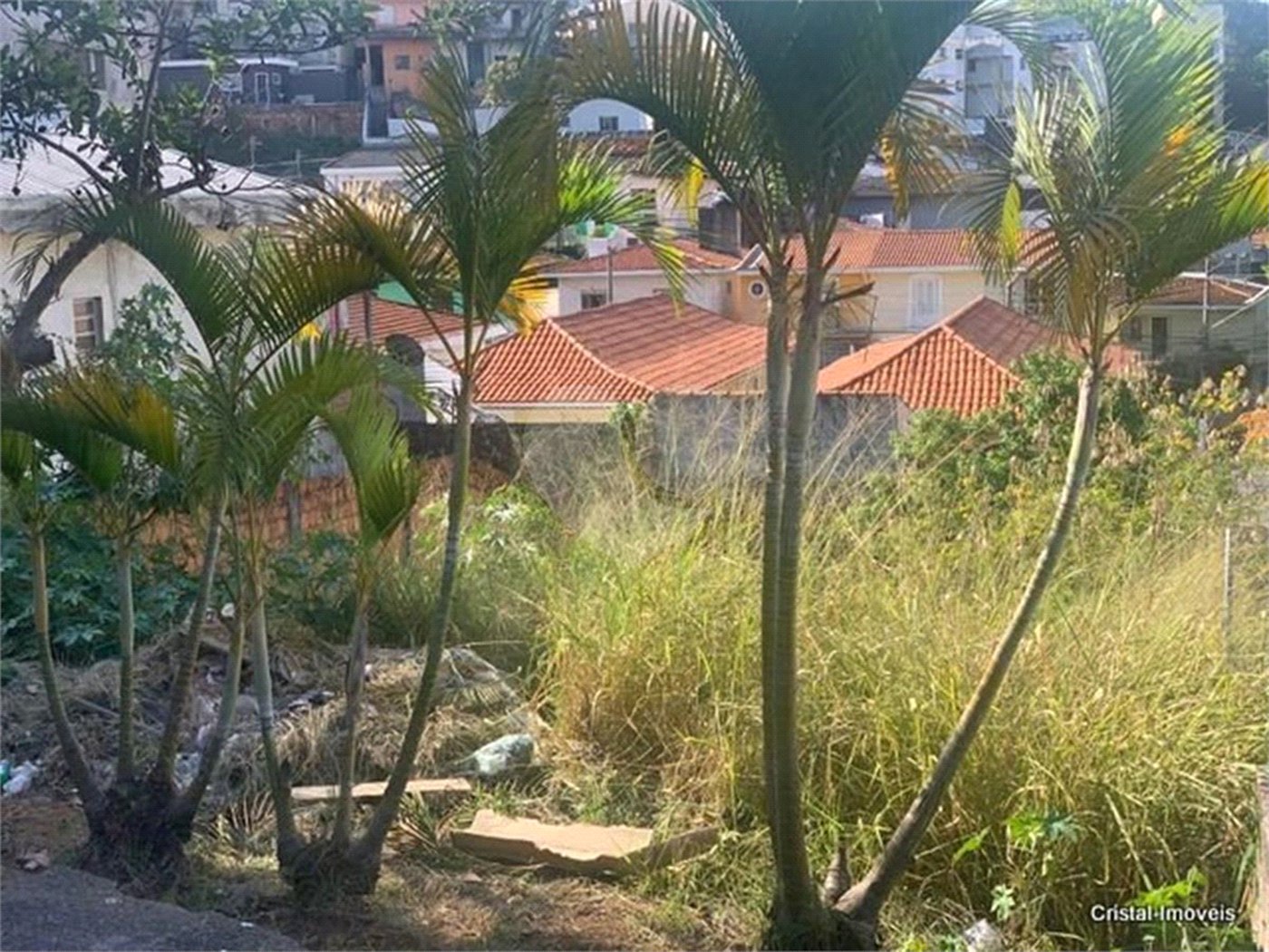 Terreno à venda em Jardim Bonfiglioli, São Paulo, SP