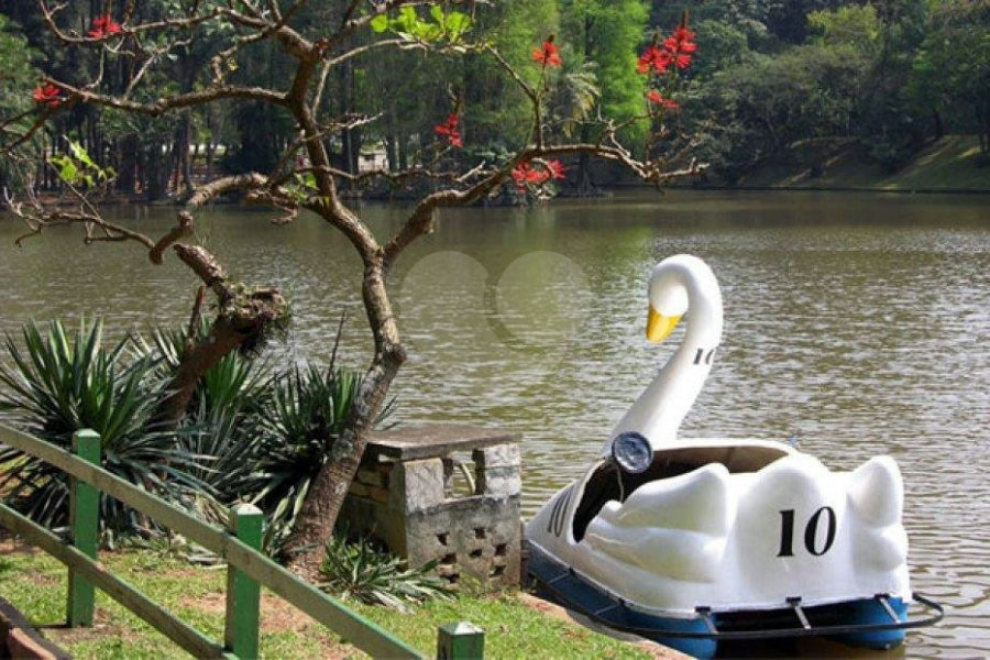 Terreno à venda em Horto Florestal, São Paulo, SP