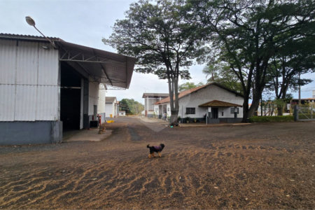 Galpão à venda em 1° Distrito Industrial (albert Geoges Karam), Araraquara, SP