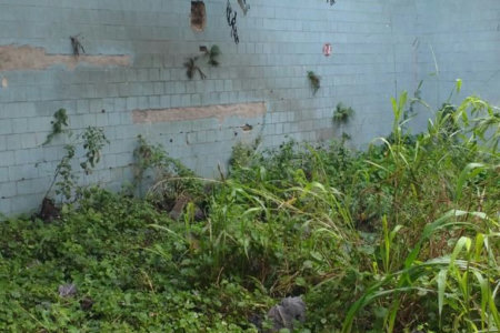 Terreno à venda, 1098 m² por R$ 4.000.000,00 - Centro - Santos/SP