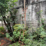 Casa à venda no Jaçanã 400m² – Amplo espaço e excelente localização!