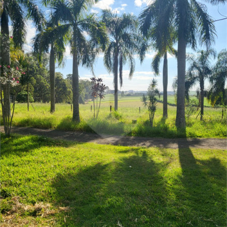 SÍTIO A VENDA - BELA VISTA