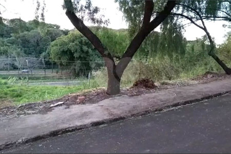 Terreno com 453,50 m² de área total.