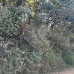Terreno à venda em Luiz Fagundes, Mairiporã, SP