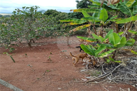 Terreno à venda em Chácara Fernão Dias, Bragança Paulista, SP