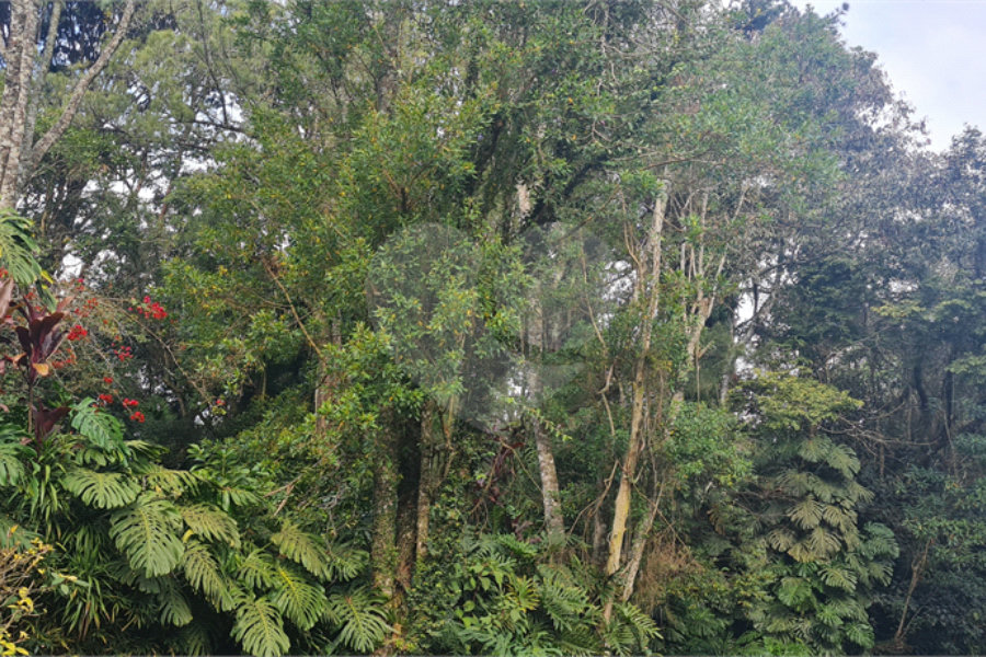 Casa à venda ou para alugar com 3 quartos, sendo 2 suítes, no condomínio Jardim da Montanha I, Mairiporã - SP