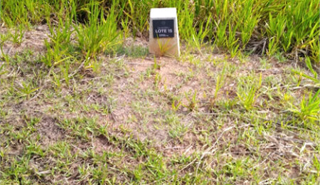 Terreno à venda com 1 suíte no condomínio Reserva Bellano, Itatiba - SP