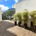 Cobertura à venda com 3 quartos, sendo 1 suíte,  em Tijuca, Rio de Janeiro, RJ