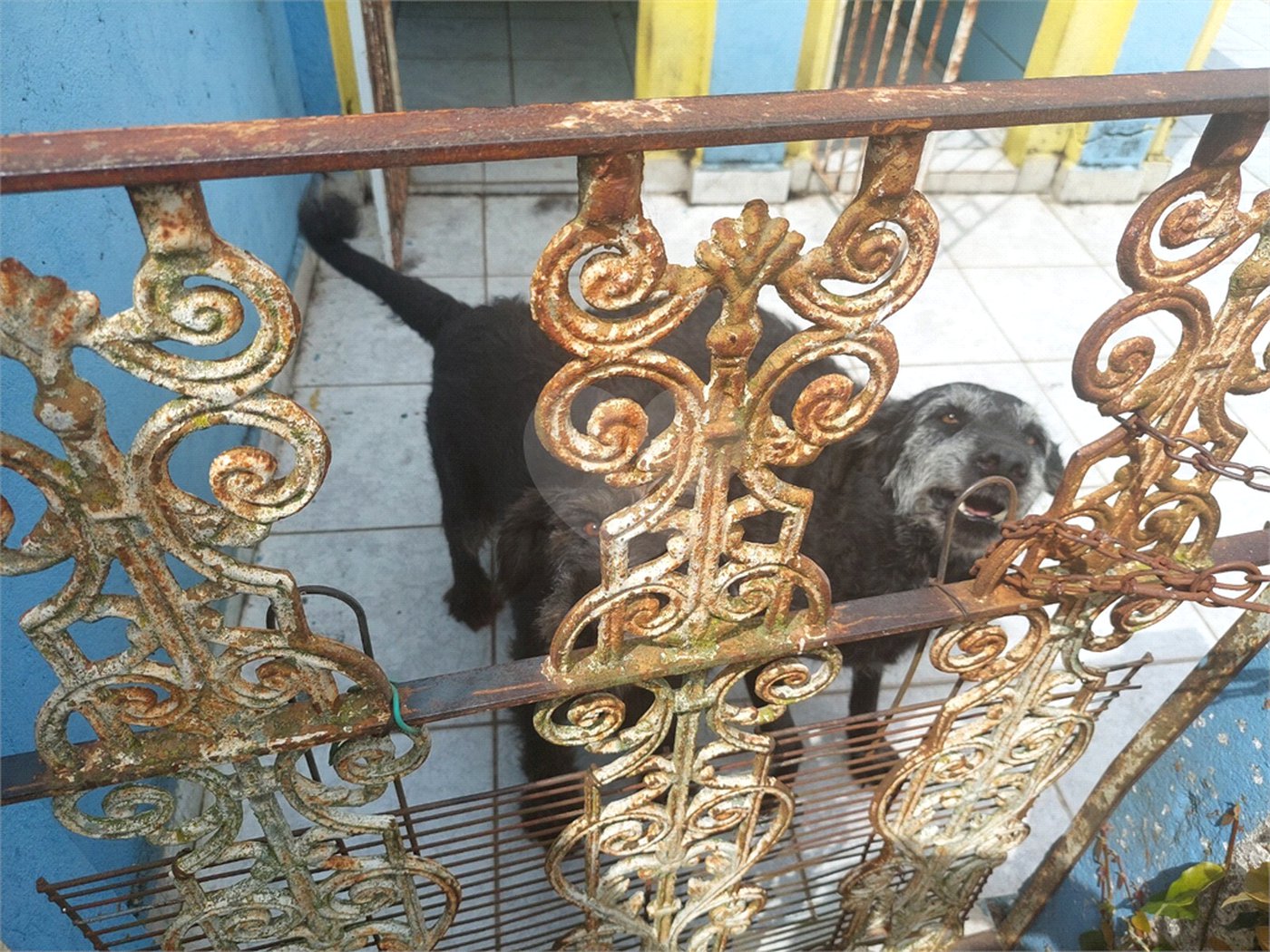 Casa à venda ou para alugar com 4 quartos, sendo 2 suítes,  em Rancho Grande, Mairiporã, SP