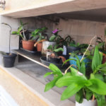 Cobertura com 3 dormitórios à venda, 200 m² por R$ 1.590.000,00 - Barra Funda - Guarujá/SP