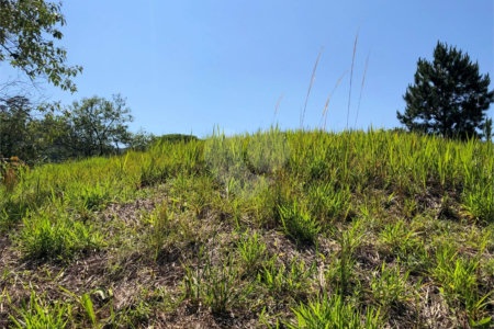 Terreno à venda em Bairro do Cambará, São Roque, SP