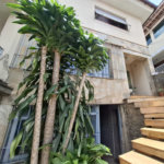 Sobrado à venda com 3 quartos em Vila Aurora (zona Norte), São Paulo, SP