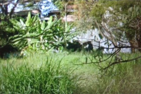 Terreno à venda ou para alugar no condomínio Giovanni Gronchi, São Paulo - SP