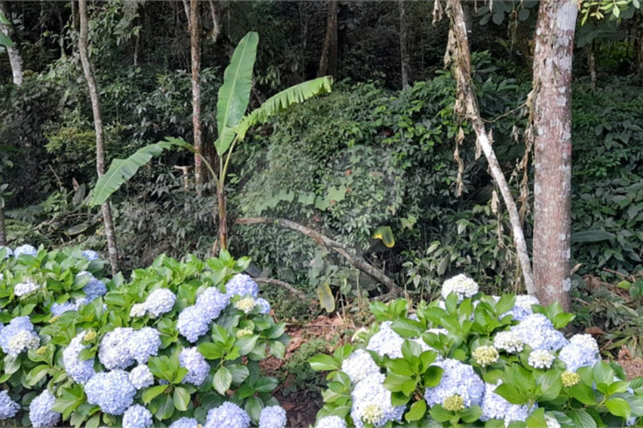 Terreno à venda em Roseira, Mairiporã, SP