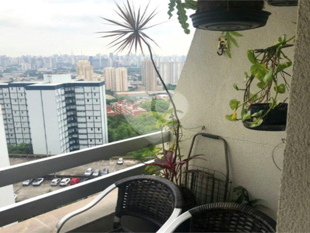 Apartamento à venda com 3 quartos em Limão, São Paulo, SP
