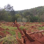 Sítio à venda com 2 quartos no Centro, Descalvado, SP