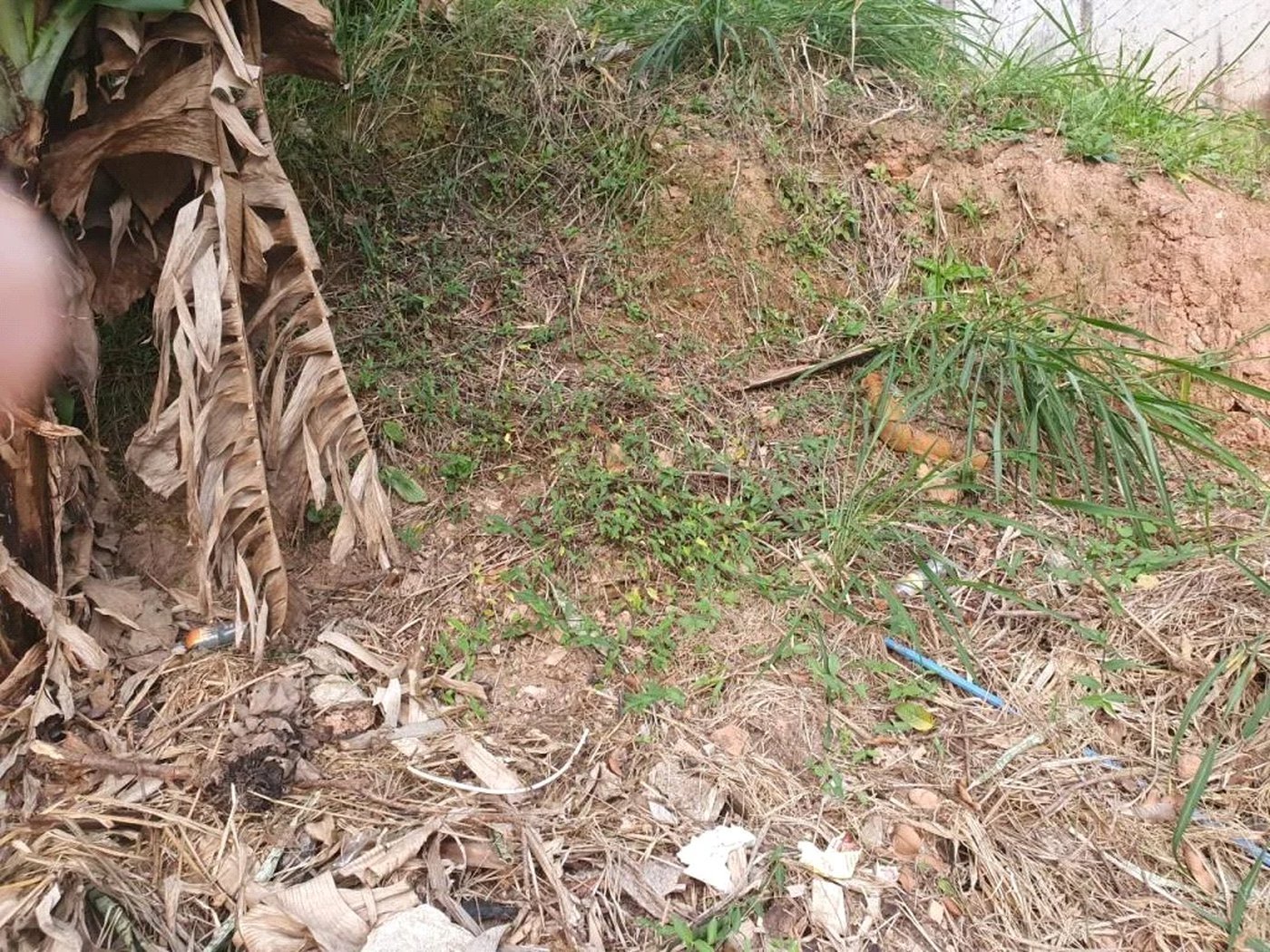 Terreno à venda em Vila Indiana, São Paulo, SP