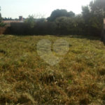 Terreno à venda em Jardim Novo Campos Elíseos, Campinas, SP