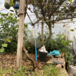 Casa à venda com 2 quartos, sendo 1 suíte,  em Vila Nova Bonsucesso, Guarulhos, SP