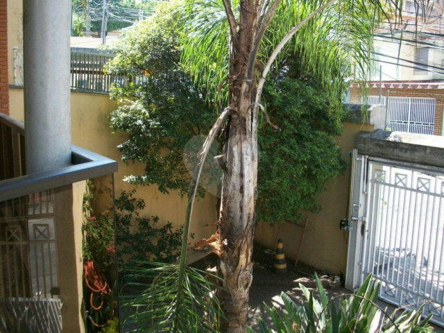 Sobrado à venda ou para alugar com 4 suítes em Vila Paulicéia, São Paulo, SP