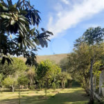 Casa à venda com 4 quartos, sendo 1 suíte, no Centro, Bom Jesus dos Perdões, SP