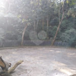 Terreno à venda em Tucuruvi, São Paulo, SP