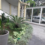 Apartamento à venda com 3 quartos, sendo 1 suíte, em Vila Monumento, São Paulo, SP