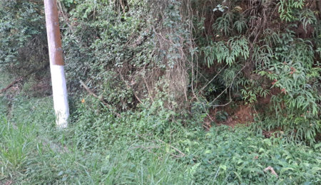 Terreno à venda no condomínio Associação Reserva das Hortênsias, Mairiporã - SP