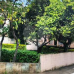Terreno à venda com 3 quartos, sendo 1 suíte, em Vila Mazzei, São Paulo, SP
