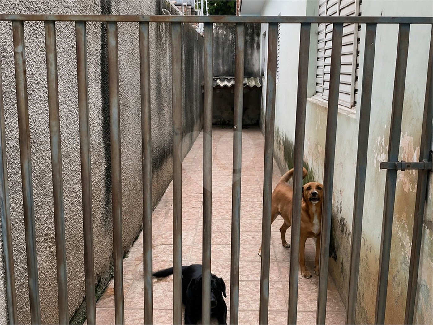 Casa à venda com 3 quartos, sendo 1 suíte, em Vila Barcelona, Sorocaba, SP