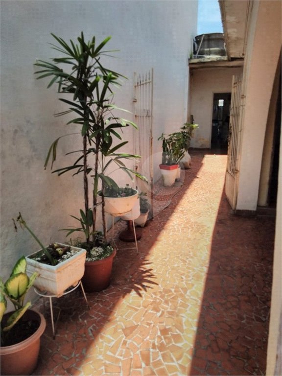 Casa Térrea à venda com 2 quartos em Vila Paulicéia, São Paulo, SP