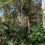 Terreno à venda em Remédios, Mairiporã, SP